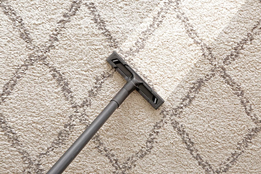 How to Keep Your Warranty for Your Carpets and Rugs, Floortex Design